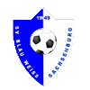 https://img.teamxcd.com/img/football/team/1cde488d47b598d2eed91775e6786258.png