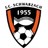 https://img.teamxcd.com/img/football/team/488370880779534e48b5b2d5243fb6f6.png