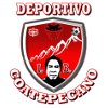 https://img.teamxcd.com/img/football/team/8dae401493177b32ed12597c1d28f77a.png